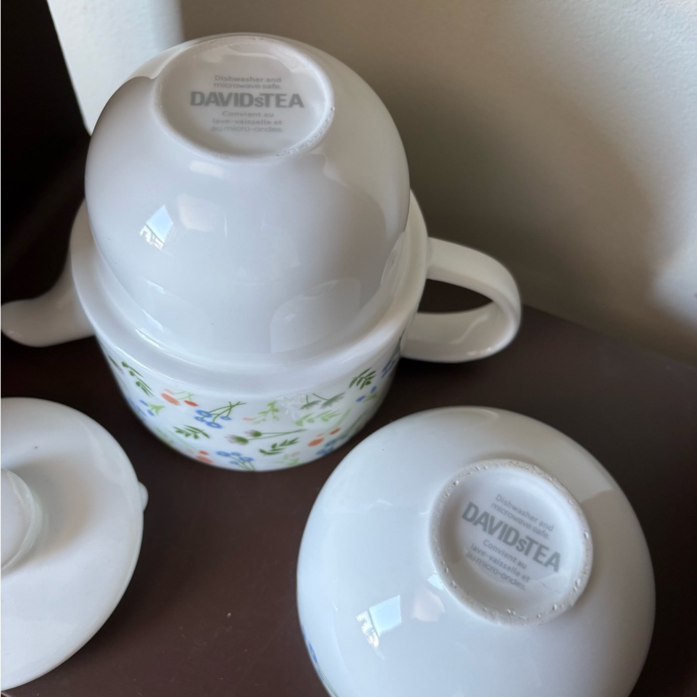 Davids Tea Simplicity Nesting Set for One - Picture 6 of 7